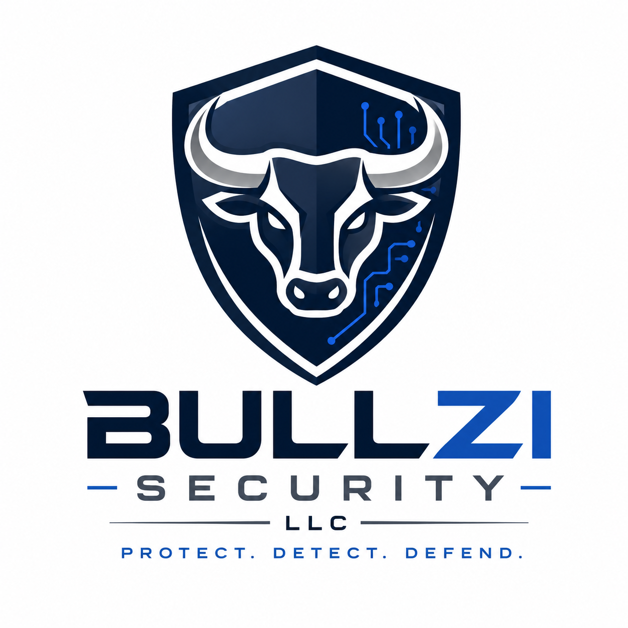 Bullzi Security LLC logo